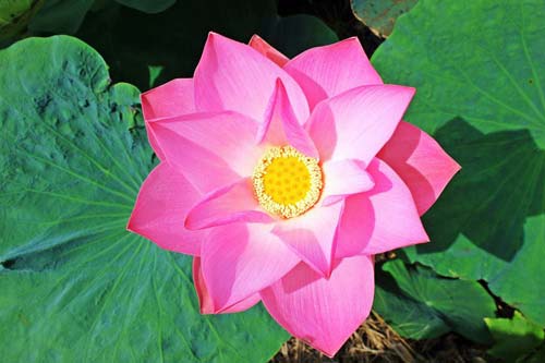 完美wm365登录入口