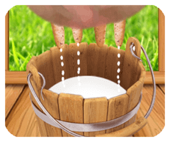bob博鱼官网登录